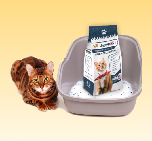 Is silica gel sales litter safe for cats